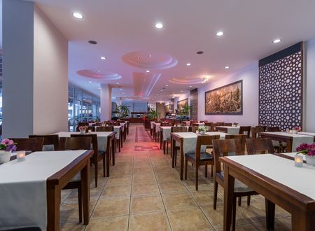 turkey/antalya/kemer/grandvikinghotel9a36031e.jpg