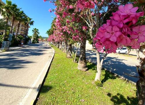 turkey/antalya/kemer/istanbulbeachhotel6c53ff9d.jpg