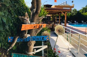 turkey/antalya/kemer/jasmineotel401a9969.jpg