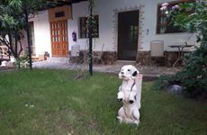 turkey/antalya/kemer/kekikotelbd788bea.jpg