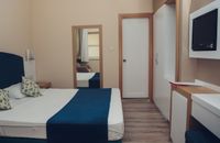 Дворна стая