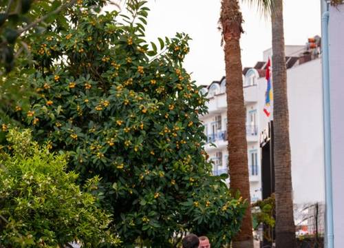 turkey/antalya/kemer/maliburesorthotel91d7260e.jpg