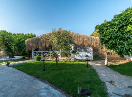 turkey/antalya/kemer/naturelifebungalowsspa08249595.jpg