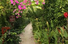turkey/antalya/kemer/nerissahotel4b214aef.jpg