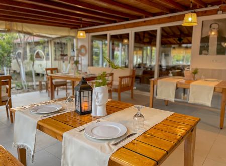 turkey/antalya/kemer/oasegarden4d823768.jpg