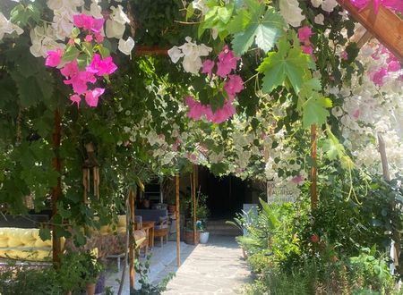 turkey/antalya/kemer/rosemarypansiyonaadda14f.jpg