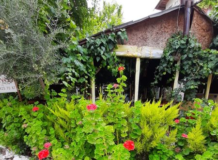 turkey/antalya/kemer/rosemarypansiyonc9924ed3.jpg