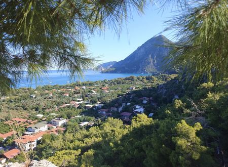 turkey/antalya/kemer/rosemarypansiyonf1646897.jpg
