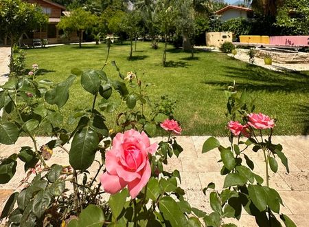 turkey/antalya/kemer/sedirpalas4d1a7758.jpg