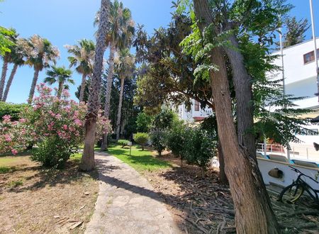 turkey/antalya/kemer/simahotel313428e7.jpg