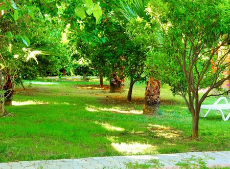 turkey/antalya/kemer/simgepansiyon6d157604.jpg