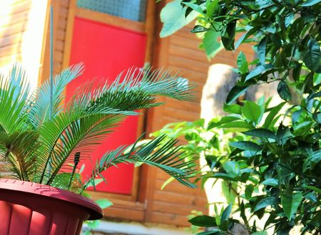 turkey/antalya/kemer/simgepansiyonf9d4528a.jpg