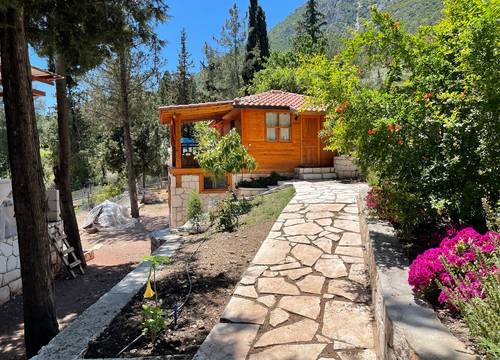 turkey/antalya/kemer/trinitysforestbungalowsaaf86706.jpg