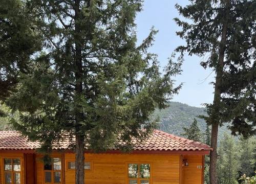 turkey/antalya/kemer/trinitysforestbungalowsf90cff60.jpg