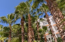 turkey/antalya/kemer/ukhotelkirisd20ea40f.jpg