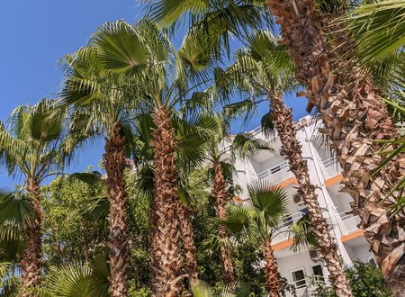 turkey/antalya/kemer/ukhotelkirisd20ea40f.jpg