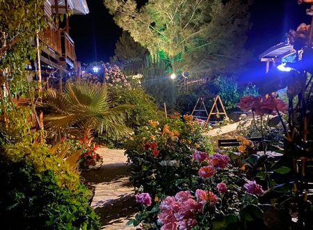 turkey/antalya/kumluca/7greenadrasanboutiquehotel6462d725.jpg