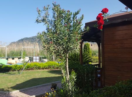 turkey/antalya/kumluca/adaadrasanhoteld2fa4666.jpg