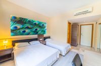 Large standard Room