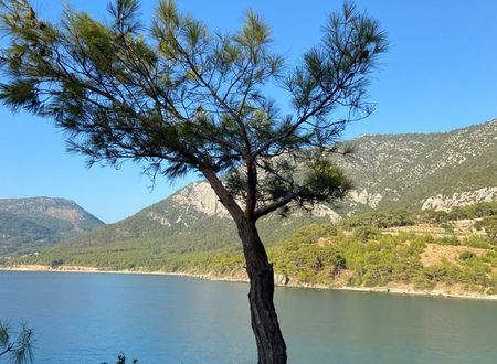 turkey/antalya/kumluca/karaozsapphireapartbungalows7e01ed62.jpg