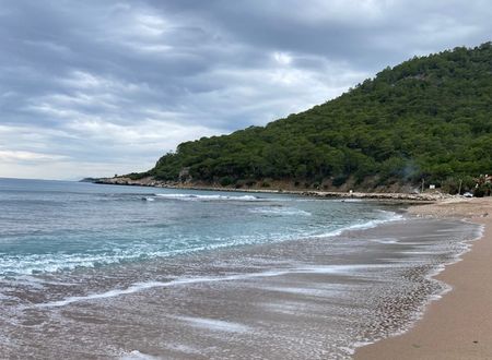 turkey/antalya/kumluca/karaozsapphireapartbungalowsa5cf9a94.jpg