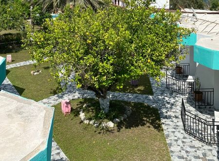 turkey/antalya/kumluca/maviayhoteladrasand6573567.jpg