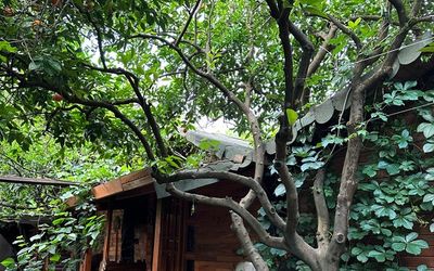 Natural Pansiyon · 5