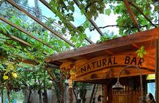 turkey/antalya/kumluca/naturalpansiyonce462f6d.jpg