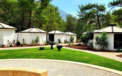 Nature Village · 4