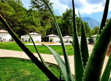 turkey/antalya/kumluca/naturevillageolympose1f9da34.jpg