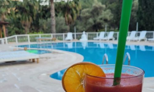 turkey/antalya/kumluca/olymposangelsgarden352728c6.jpg