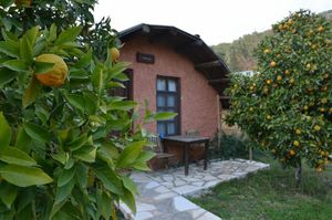 turkey/antalya/kumluca/simurgevleriolympos43734f44.jpg