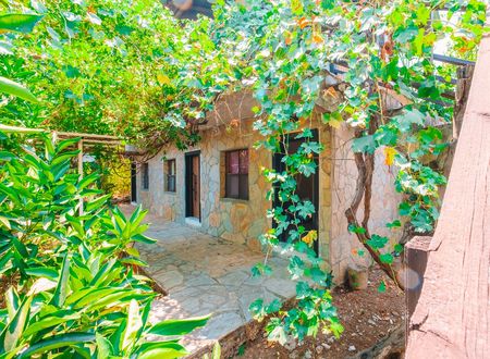 turkey/antalya/kumluca/sunthaliaolympos5988af1f.jpg