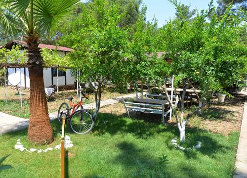 turkey/antalya/kumluca/sunthaliaolymposbungalow425608fc.jpg