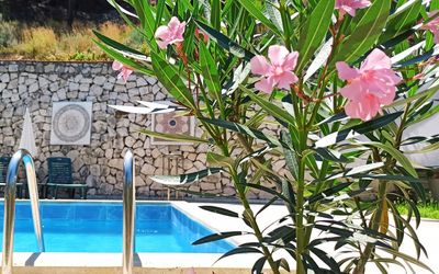 Swiss Eviniz Hotel · 3