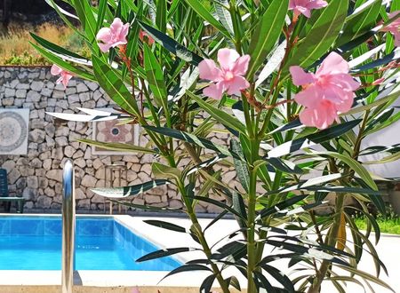 turkey/antalya/kumluca/swissevinizhotel9af27d17.jpg