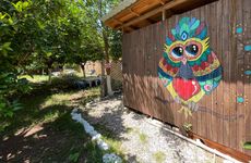 turkey/antalya/kumluca/truvapansiyonf8766f04.jpg