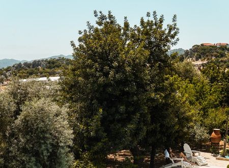 turkey/antalya/likyayolupalas4c0878e7.jpg