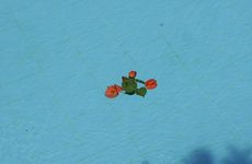 turkey/antalya/likyayolupalas4c114e8e.jpg