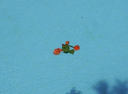 turkey/antalya/likyayolupalas4c114e8e.jpg