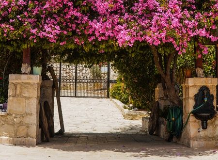 turkey/antalya/likyayolupalas7b0e5f58.jpg