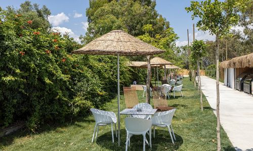 turkey/antalya/manavgat/berryhotels1aeb0259.jpg