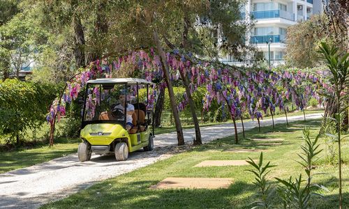 turkey/antalya/manavgat/berryhotelsaa5b262c.jpg
