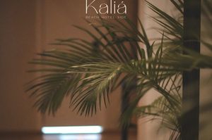 turkey/antalya/manavgat/kaliabeachhotelsidecb73ea7a.jpg