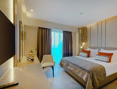 Standard Room with Land View