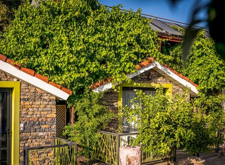 turkey/antalya/manavgat/ledabeachhotel12ea73ae.jpg