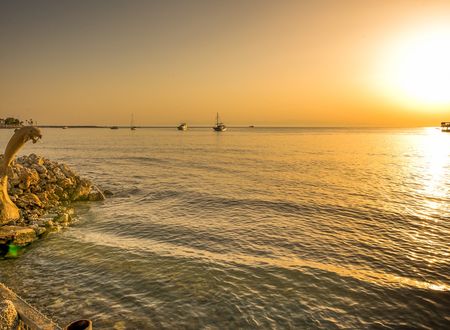 turkey/antalya/manavgat/ledabeachhotelc7628402.jpg