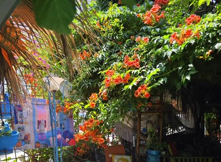 turkey/antalya/manavgat/sidetuanagardenhome2e189c79.jpg