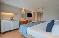 Standart Room - Triple Land View