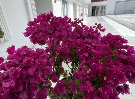turkey/antalya/mihotelboutiquef73ad3a1.jpg